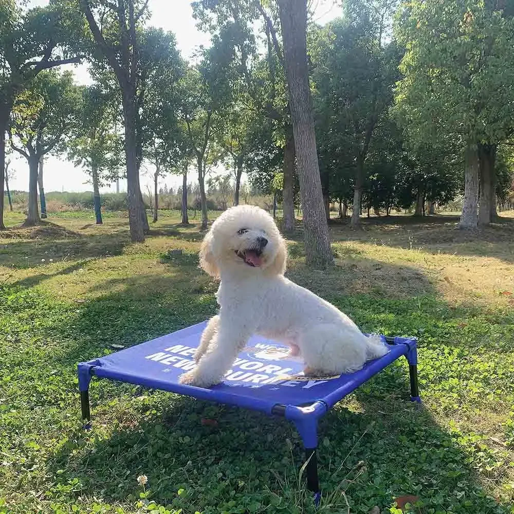 Outdoor Camping Dog Bed - FULED Letto Rialzato Portatile per Cani