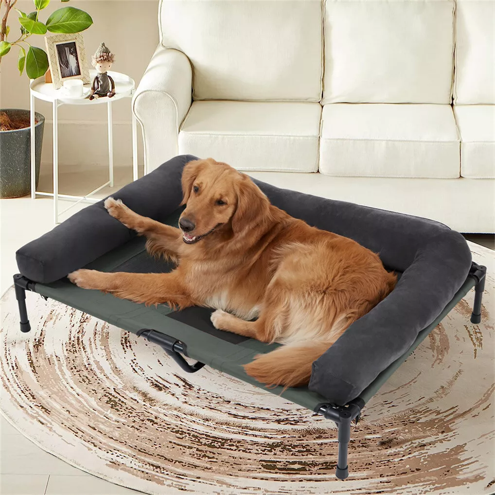 BINGOPAW Letto Rialzato per Ca - Outdoor Camping Dog Bed recensione e prezzo