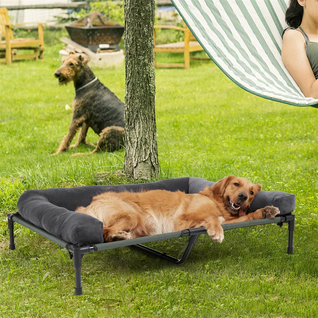 BINGOPAW Letto Rialzato per Ca - Outdoor Camping Dog Bed recensione e prezzo