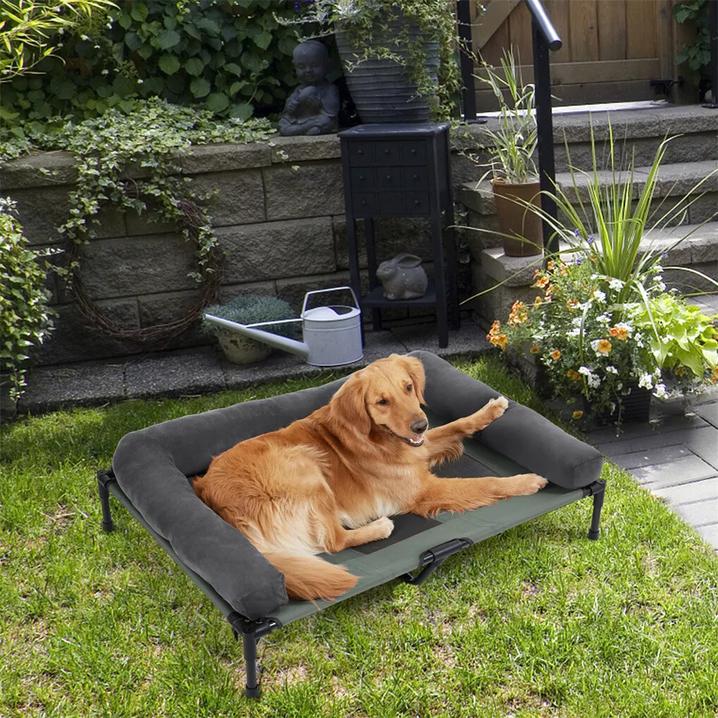 BINGOPAW Letto Rialzato per Ca - Outdoor Camping Dog Bed recensione e prezzo